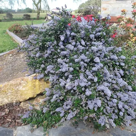 Appartamento La Cruz De Paderne
